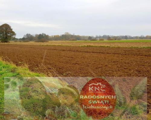 Grunt w Samoklęskach, gmina Kamionka, 22ar!
