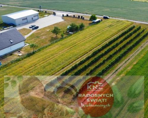 Borów Kol. Duża działka z możliwością uzyskania WZ