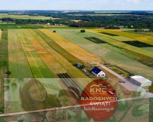 Borów Kol. Duża działka z możliwością uzyskania WZ