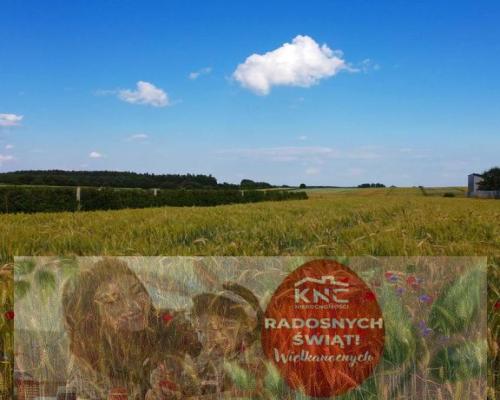 Borów Kol. Duża działka z możliwością uzyskania WZ