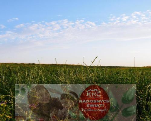 Jakubowice Konińskie- gm. Niemce, działka budowlana o powierzchni 2239 m2. Doskonała lokalizacja przy ulicy asfaltowej, z szybk