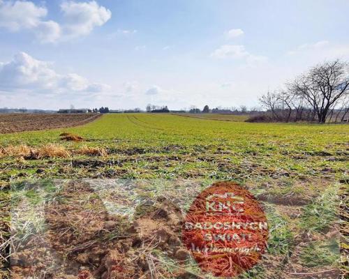 Działka pod zabudowę - Miłocin Kolonia - 47ar