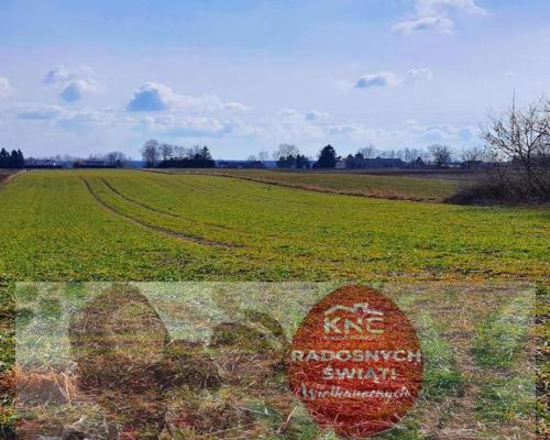 Działka pod zabudowę - Miłocin Kolonia - 47ar