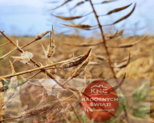 Nałęczów - działka usługowa - 67ar