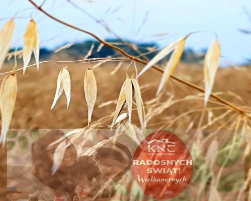 Nałęczów - działka usługowa - 67ar