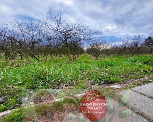 Motycz, - 30 ar - blisko szkoły, do wydzielenia