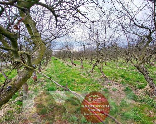 Motycz, - 30 ar - blisko szkoły, do wydzielenia