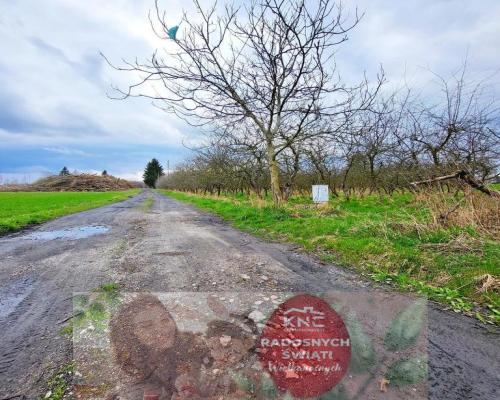 Motycz, - 30 ar - blisko szkoły, do wydzielenia