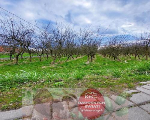 Motycz, - 30 ar - blisko szkoły, do wydzielenia