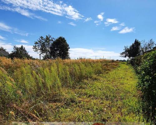 Sadurki - działka rolno-budowlana - 62ar