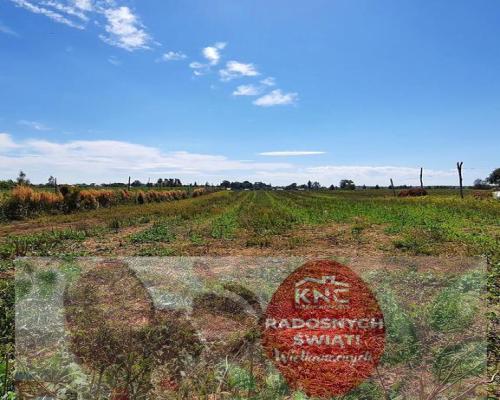 Sadurki - działka rolno-budowlana - 62ar