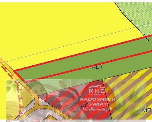 Kocianów - działka leśna - 33 ar