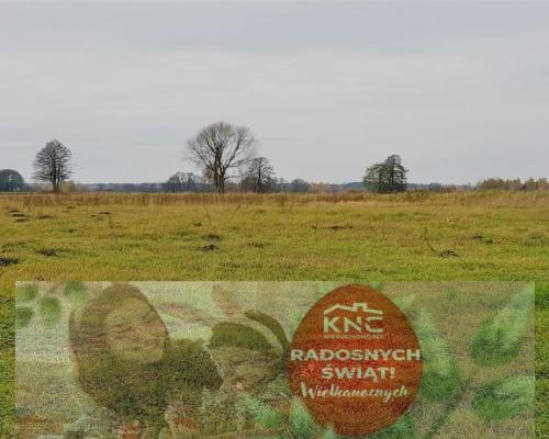 Samoklęski kol. Pierwsza - działka rolna