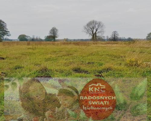 Samoklęski kol. Pierwsza - działka rolna