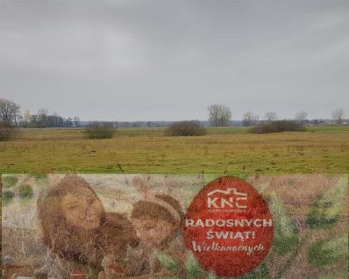 Samoklęski kol. Pierwsza - działka rolna