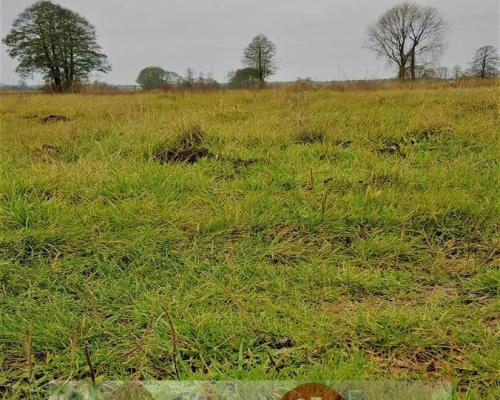 Samoklęski kol. Pierwsza - działka rolna