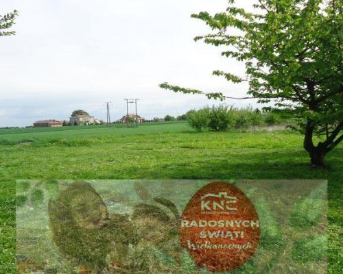 Pawlin gmina Konopnica około 12km od Lublina