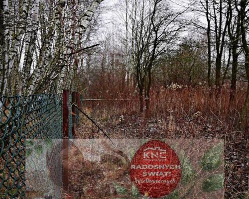 95 arów pod Kazimierzem Dolnym