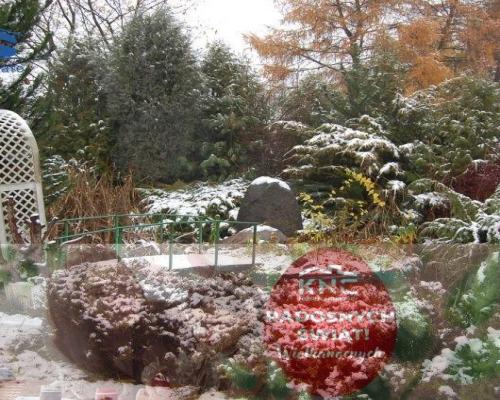 Dom jednorodzinny wolnostojący