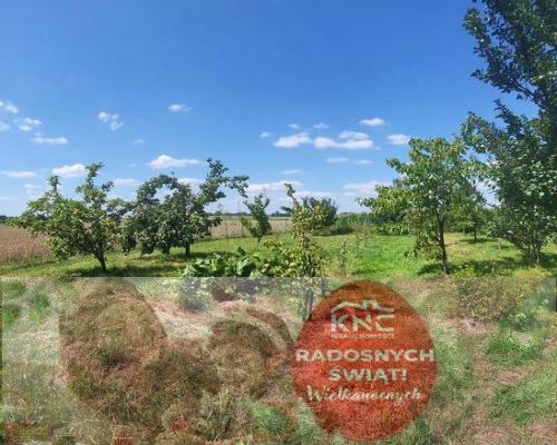 Gutanów - dom na 68 ar działki. - JEDYNE 300tys!