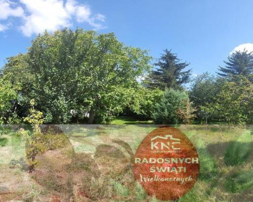 Gutanów - dom na 68 ar działki. - JEDYNE 300tys!