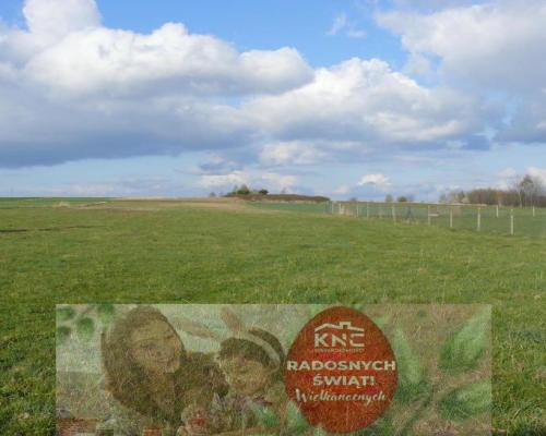 Działka pod dom lub małą działalność.