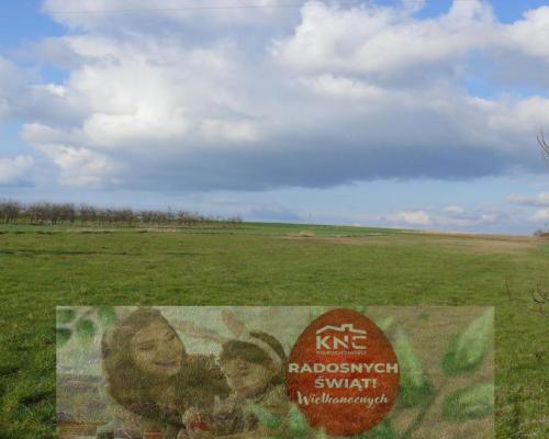 Działka pod dom lub małą działalność.