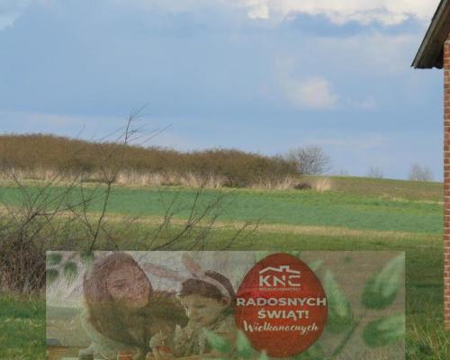 Działka pod dom lub małą działalność.