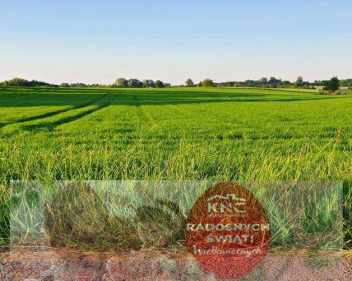 Działka 30ar nieopodal Lublina - Miłocin