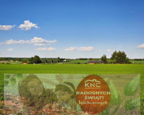 Działka 30ar nieopodal Lublina - Miłocin