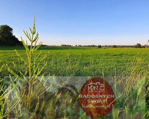 Działka 30ar nieopodal Lublina - Miłocin