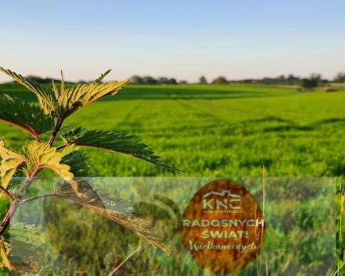 Działka 30ar nieopodal Lublina - Miłocin