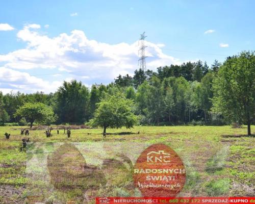 Pliszczyn, działka do wydzielenia 30-50a, rzeka.