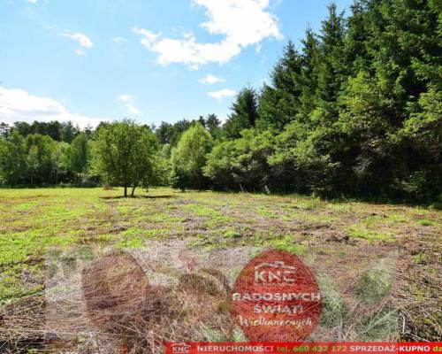 Pliszczyn, działka do wydzielenia 30-50a, rzeka.