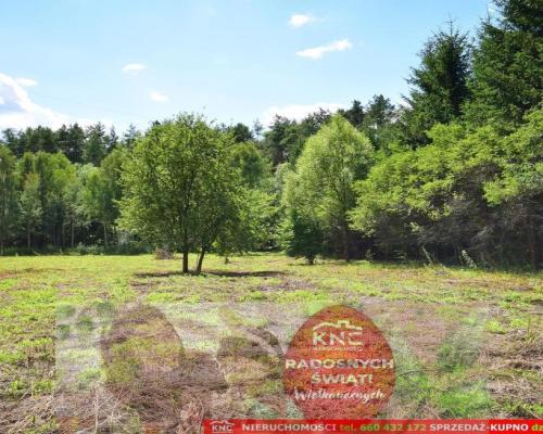 Pliszczyn, działka do wydzielenia 30-50a, rzeka.