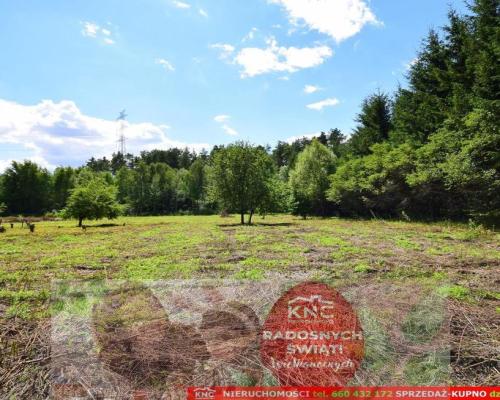 Pliszczyn, działka do wydzielenia 30-50a, rzeka.