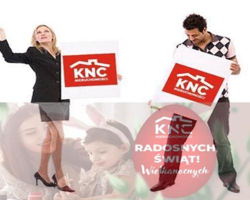 Pliszczyn, działka do wydzielenia 30-50a, rzeka.