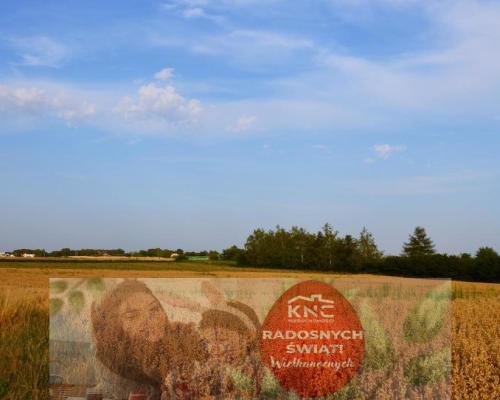 Działka rolna jako inwestycja Marysin!