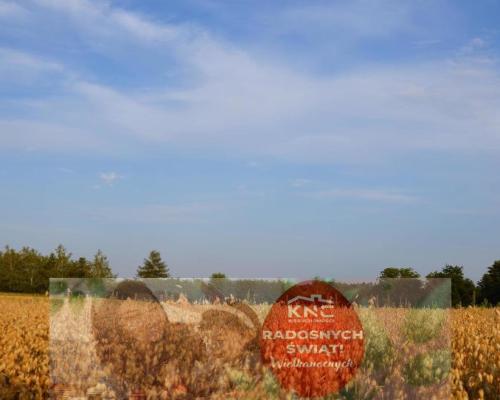 Działka rolna jako inwestycja Marysin!