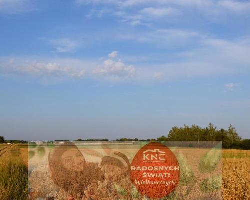 Działka rolna jako inwestycja Marysin!