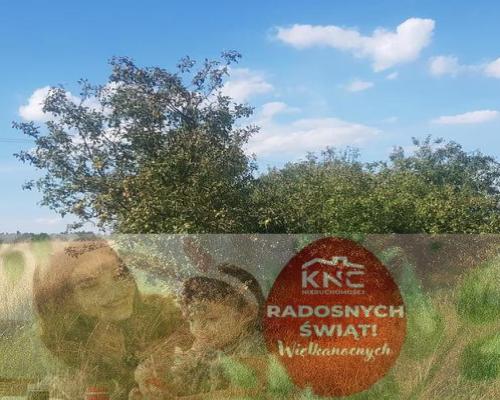 Atrakcyjne siedlisko 53 ar ziemi pod Kazimierzem