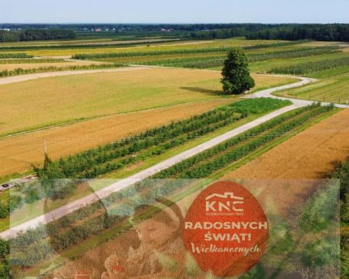 Atrakcyjne siedlisko 53 ar ziemi pod Kazimierzem