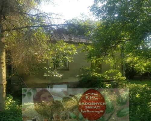 Atrakcyjne siedlisko 53 ar ziemi pod Kazimierzem