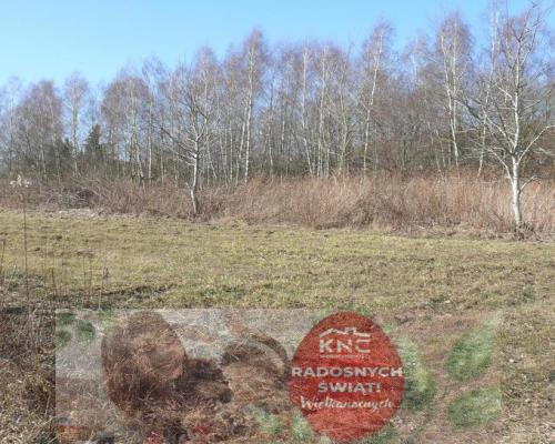 Działki budowlane w Nałęczowie.