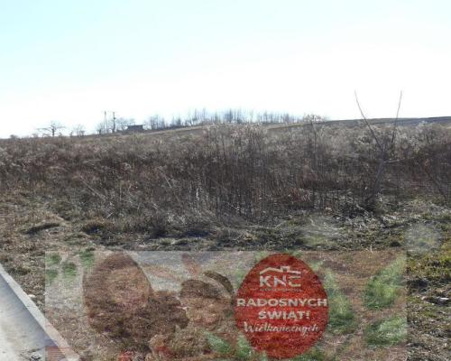 Działki budowlane w Nałęczowie.