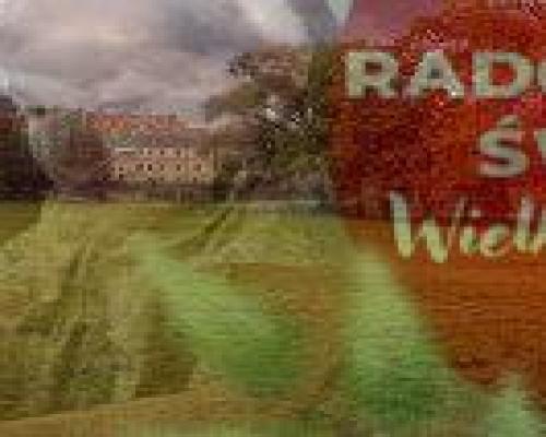 Sprzedam działkę komercyjną!