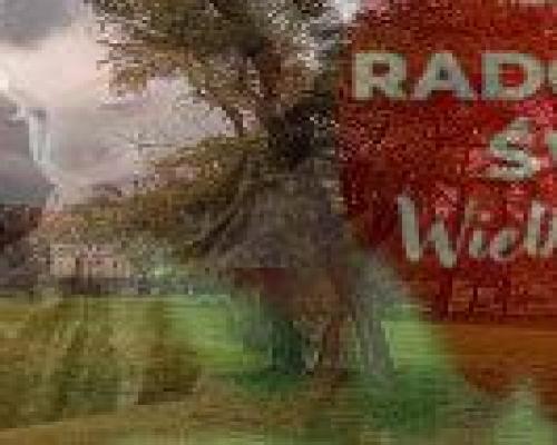 Sprzedam działkę komercyjną!