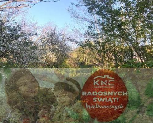 Działka zagrodowa w Turce.