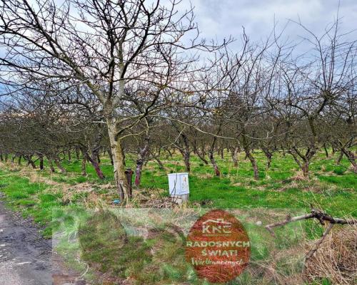 Inwestycyjna działka budowlana w Motyczu