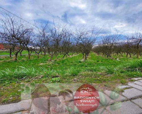 Inwestycyjna działka budowlana w Motyczu